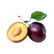 plum Online now