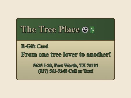 The Tree Place Gift Card For Cheap