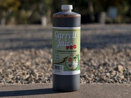 Garrett Juice Pro Concentrate For Cheap