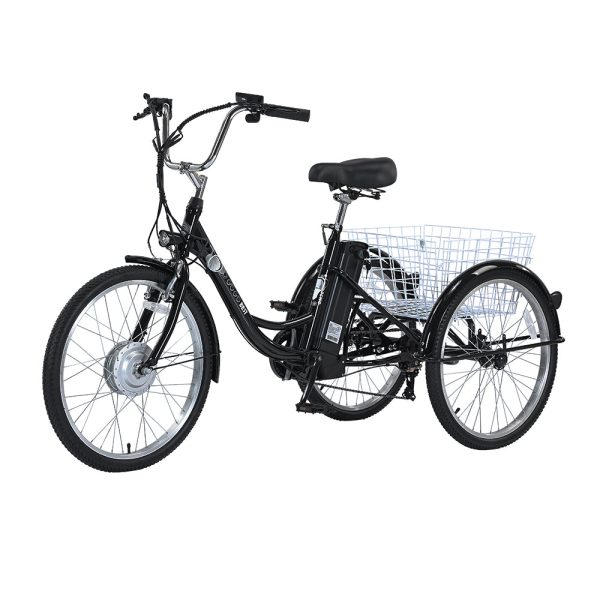 GOGOBEST GF100 Electric City Tricycle Cargo Ebike For Discount