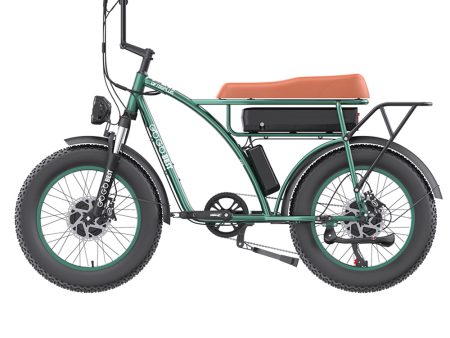 GOGOBEST GF750 PLUS Electric City Retro Bike Online Hot Sale