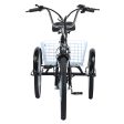 GOGOBEST GF100 Electric City Tricycle Cargo Ebike For Discount